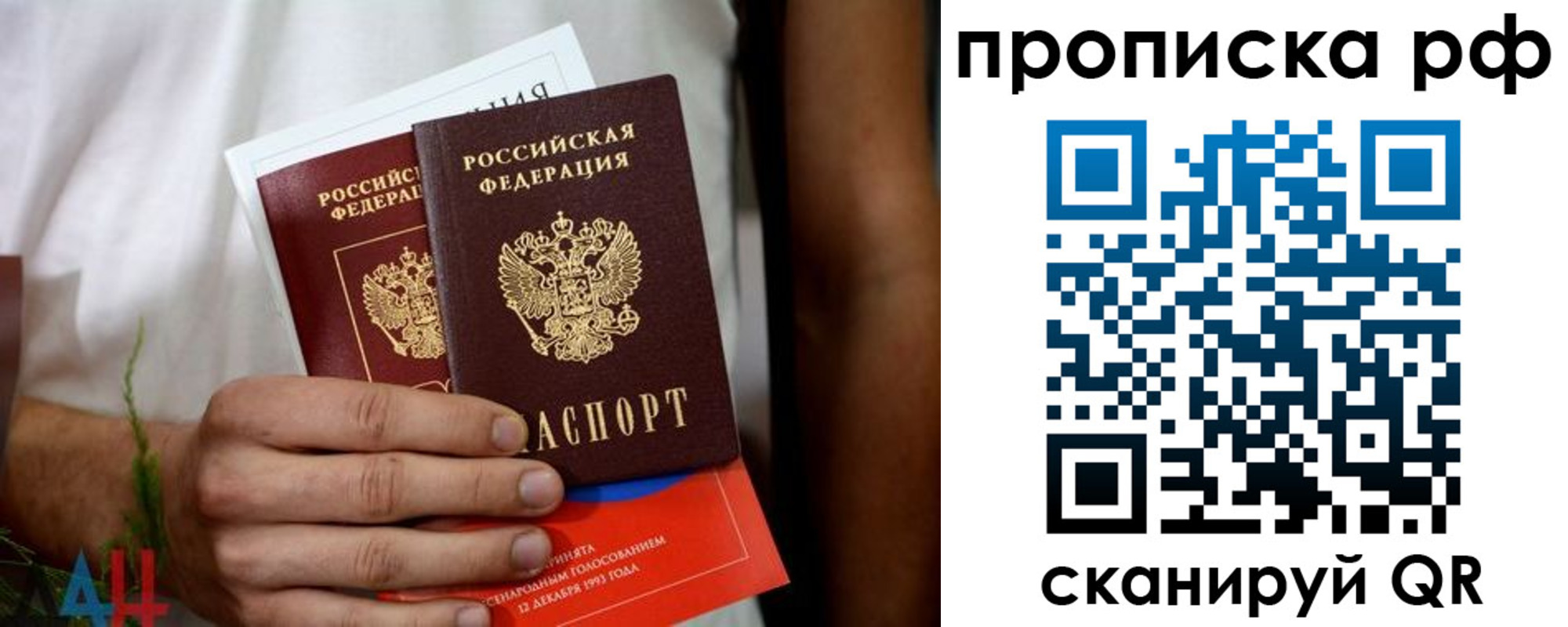 прописка 2025 в Александрове